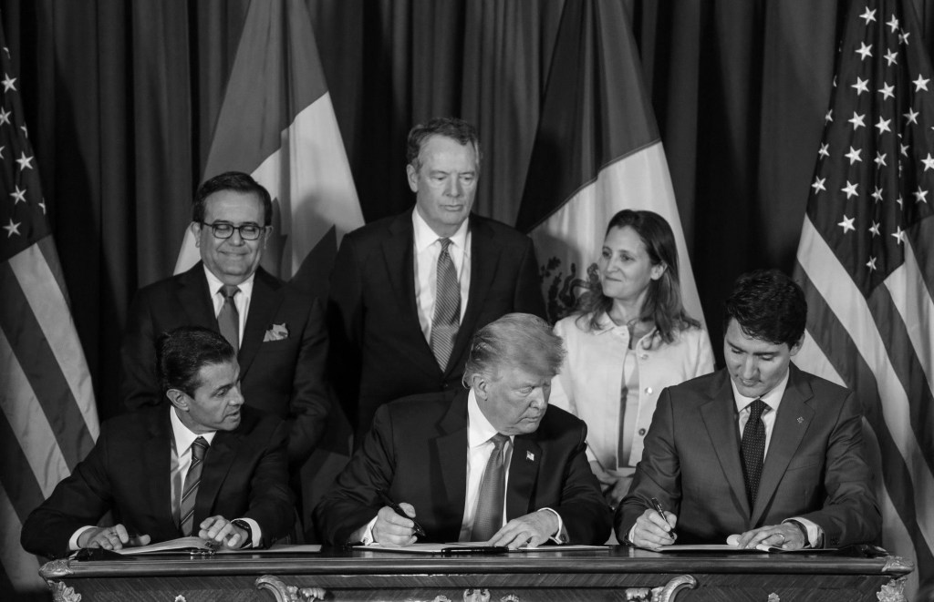 Del amor a las&nbsp;TRUMPadas