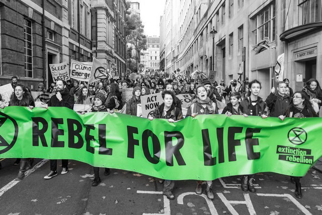 Reporte de Mayo del Equipo de&nbsp;Ambiente