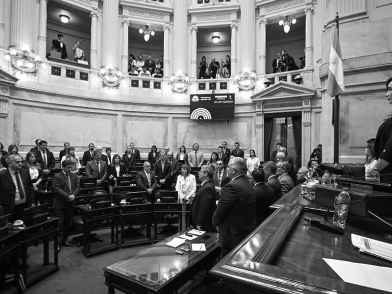 La eliminación de las PASO vuelve al&nbsp;senado
